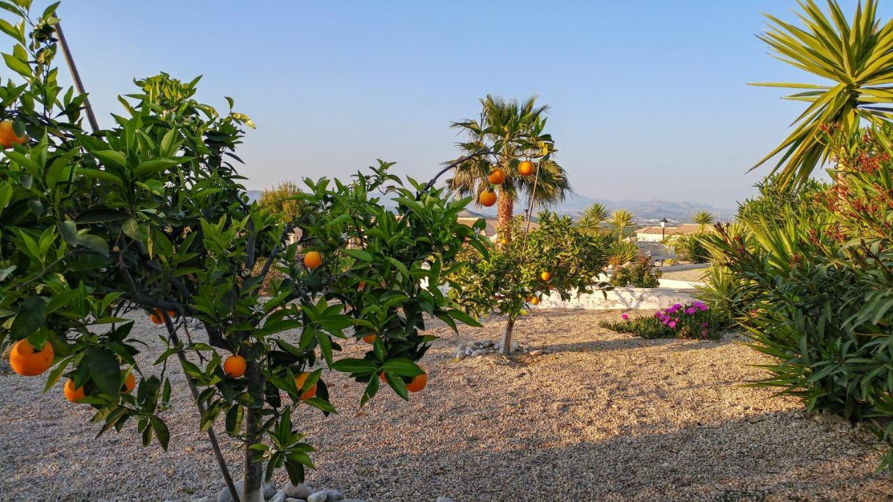 Villa Campos del Río מראה חיצוני תמונה